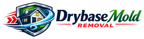 Drybase Mold Removal